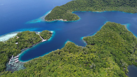 Aerial view of Citrus Ridge, Raja Ampat's top snorkeling and diving spot at Gam Island, featuring...