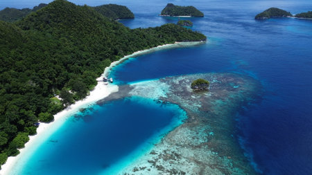 Shark point with lots of Reef sharks at Wayag island, Raja Ampat, West Papua, Indonesia, part of the Raja Ampat Marine Protected Areaの写真素材