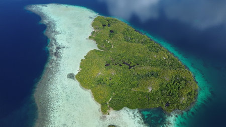 Aerial view of Beser Bay on Gam Island, Raja Ampat, showcasing vibrant coral reefs, turquoise...