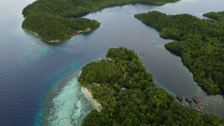Aerial view of Citrus Ridge, Raja Ampat's top snorkeling and diving spot at Gam Island, featuring vibrant reefs and the channel cutting through the marine landscape.の写真素材