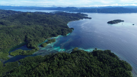 Aerial drone photo of Beser Bay in Raja Ampat, showing clear turquoise water, coral reefs, and lush tropical coastline in West Papua, Indonesia.の写真素材