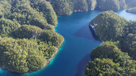 High-angle drone view of Aljui Bay, a tranquil and remote bay in Raja Ampat known for its dramatic karst cliffs and rich marine biodiversity.の写真素材