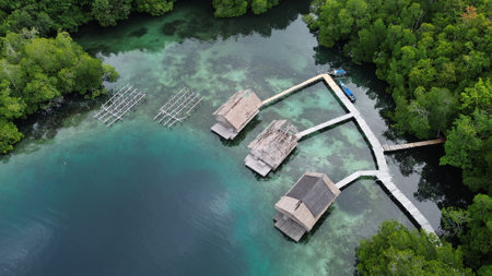 Aerial view of a typical homestay in Raja Ampat, showcasing traditional architecture nestled in a...
