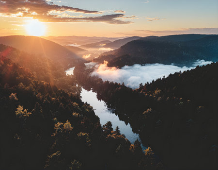 Majestic river winding through a sun-drenched forest valley during golden hourの素材