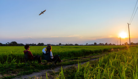 Two people relaxing together on a grassy path in a vibrant green field, watching a tranquil sunset.の素材