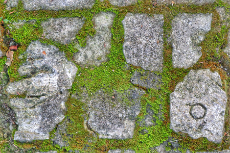 Close-up of natural moss growing across an aged stone surface, blending earthy green and gray tones.の写真素材