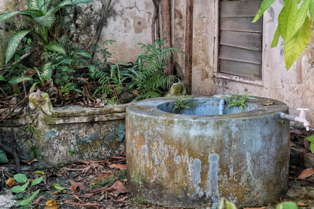 A weathered and abandoned draw well stands in a neglected front yard, surrounded by overgrown vegetation, evoking a sense of history and forgotten times.の写真素材