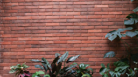 Vibrant Green Foliage Adorning a Rustic Brick Wall Backdrop with Natural Light and Shadows