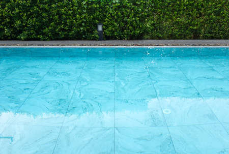Swimming pool. Consist of tile floor in perspective view under clean water and bush in outdoor or...