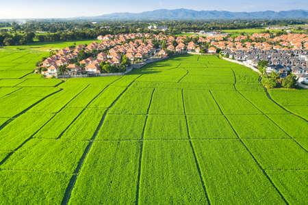 Land plot in aerial view. Include landscape, real estate, green field, crop, agricultural plant. Tract of land for housing subdivision, development, owned, sale, rent, buy or investment in Chiang Mai.の写真素材