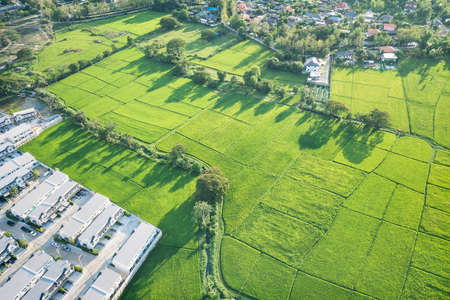 Land or landscape of green field in aerial view. Include agriculture farm, house building, village. That real estate or property. Plot of land for housing subdivision, development, sale or investment.の写真素材