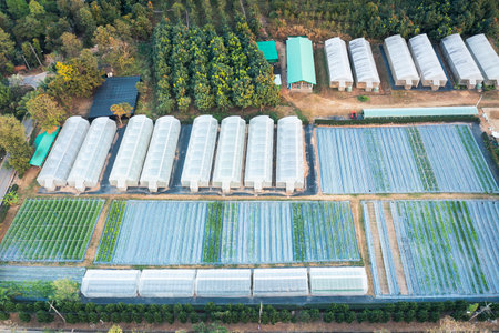 Agricultural experiment or research station in aerial view. That greenhouse building for...