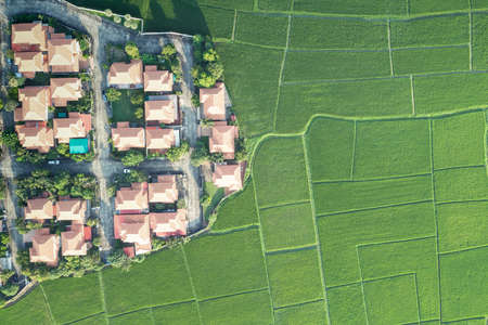 Land or landscape of green field in aerial view. Include agriculture farm, house building, village....