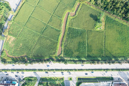 Land or landscape of green field in aerial view. Plot of land on earth for agriculture farm,...