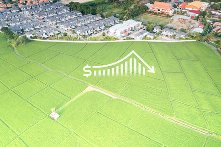 Land, landscape or green field in aerial view. Include house building, bar chart or graph, drop down arrow. Real estate or property with concept for sale price, land value.の写真素材