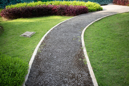 Walkway and landscape in garden, park. Also called path, footpath, pathway or asphalt floor. Include pit cover, natural plant, bush, lawn and grass. Landscaping decoration.の写真素材