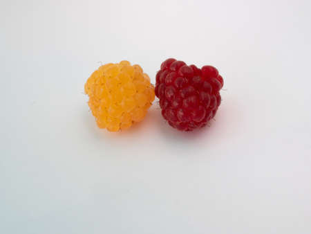 Yellow and red raspberries. Berry on white background. Isolate oneself. Twoの写真素材