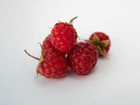 Red raspberry on white. A few of the berries. Macro. Fuzz.の写真素材