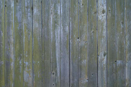The green paint is peeling off the boards. Wooden old wall. Texture.の写真素材