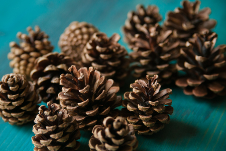 Pine cones. Pine cones texture. Pine cones background. Pine cone. Abstract background and texture for designers. Close up view of brown pine cones for texture and background.の写真素材