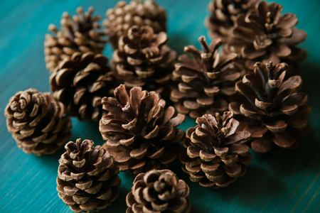 Pine cones. Pine cones texture. Pine cones background. Pine cone. Abstract background and texture for designers. Close up view of brown pine cones for texture and background.の写真素材