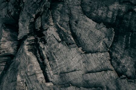 Dark rough wood texture. Abstract tree trunk background. Vintage wood. Abstract texture and background for designers Closeup view of dark rough tree trunk texture.の写真素材
