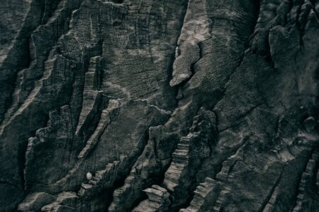 Dark rough wood texture. Abstract tree trunk background. Vintage wood. Abstract texture and background for designers Closeup view of dark rough tree trunk texture.の写真素材