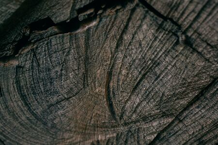 Dark rough wood texture. Abstract tree trunk background. Vintage wood. Abstract texture and background for designers Closeup view of dark rough tree trunk texture.の写真素材