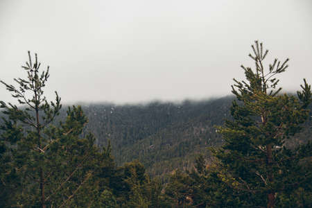 Mountain landscape. Beautiful cloudy moutainscape. Mountain scene. Serene scenery in wild nature. Misty mountain landscape. Mist in the forest. Misty mountains view in the early morning.の写真素材