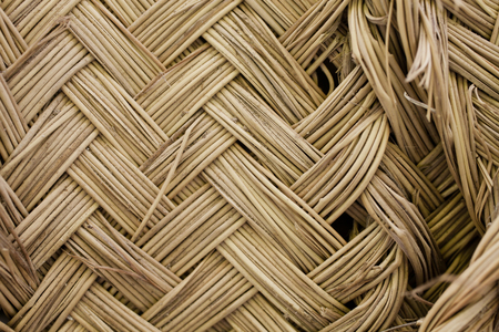 Esparto grass texture. Esparto background. Closeup view of esparto texture for designers. Pattern, background and texture for designers. Abstract pattern. Organic texture.の写真素材