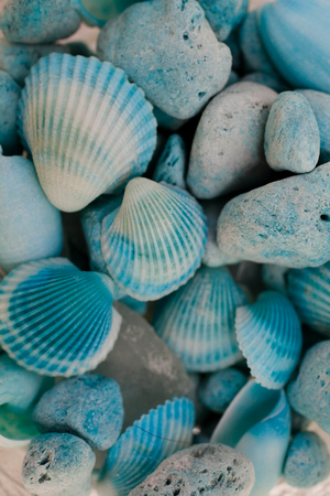 Macro view of seashells. Seashell background. Texture of blue seashells.の写真素材