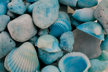 Macro view of seashells. Seashell background. Texture of blue seashells.の写真素材