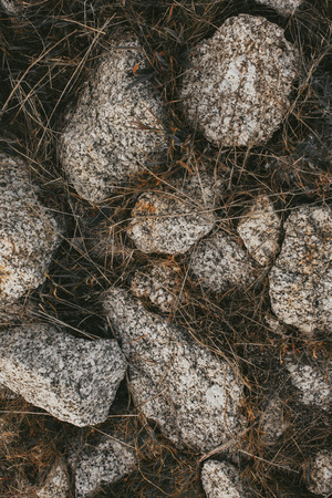 Old stones in grass background. Close up view of old road stones. Abstract texture and background for designers. Rocks and grass texture. Old road background.の写真素材
