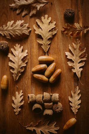Autumnal background. Oak leaves and acorns on wooden background. Close up view of fallen oak leaves as texture and background for design.の写真素材