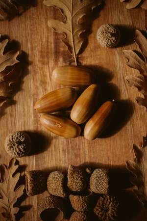 Autumnal background. Oak leaves and acorns on wooden background. Close up view of fallen oak leaves as texture and background for design.の写真素材