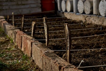 Side view of homemade carrot and vegetable garden various
