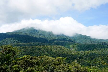 Jungle mountain landscape viewの写真素材