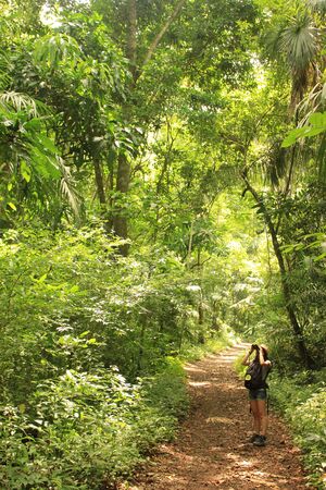 Soberania National Park, Panama - August 6th of 2014: Bird watchers seek for wildlife in this rain forest area established as a national park in 1980 covering 55,000 acres 220 km2.のeditorial素材