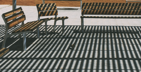 Bench in the park shadowsの写真素材