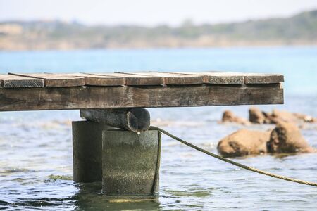 Wooden pier on the mediterranean seaの写真素材