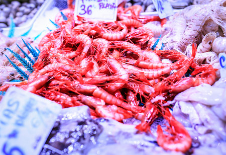 Fresh seafood in a food market of Barcelonaのeditorial素材