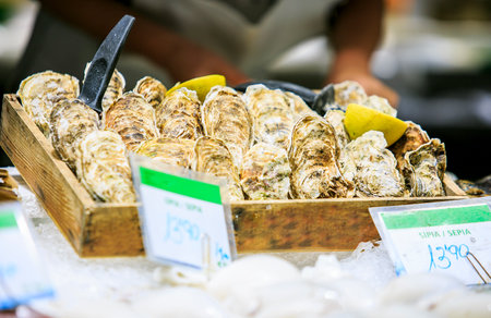 Fresh oysters in a food market of Barcelonaのeditorial素材