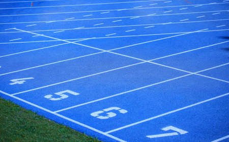 blue athletic court ready for a championshipの写真素材