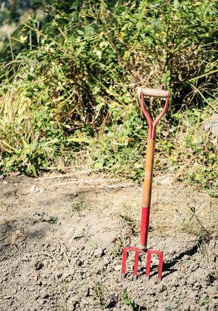 Red harvest in a terrain to cultivateの写真素材