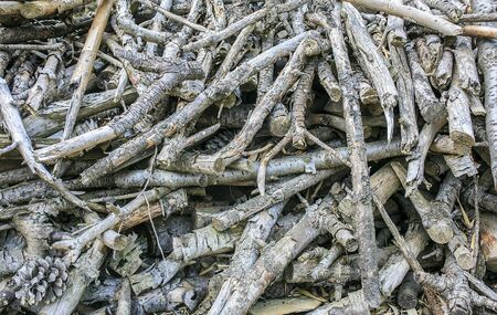 Group of firewoodの写真素材