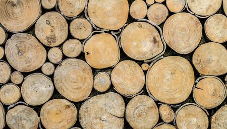 Wood texture photographyの写真素材