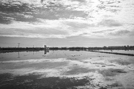 Delta del Ebro ,Tarragona landscape. River mouthの写真素材