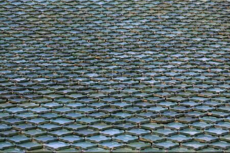 Green roof texture in Thailandの写真素材