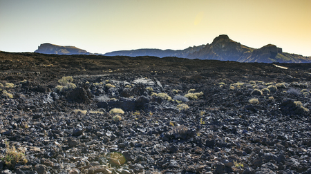 Teide mountain in Tenerife. Canary Islandsの写真素材