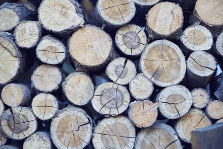 Group of wooden trunks in a pileの写真素材